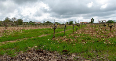 Touristic Field in Holiday Zone (T3δ5α) – Paphos District for sale