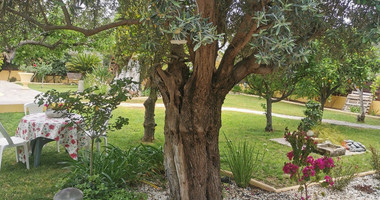 Spacious  Four Bedroom Detached Home with Pool in Kolossi