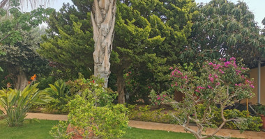 Spacious  Four Bedroom Detached Home with Pool in Kolossi