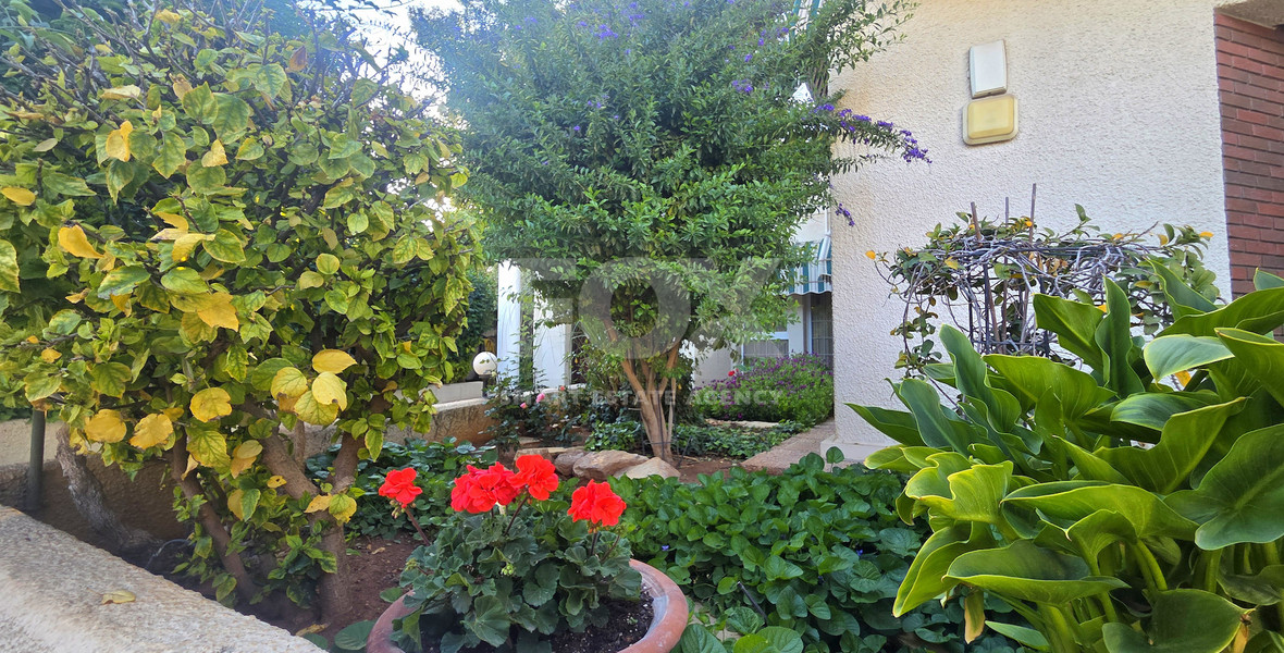 Clinic/ Office/ Private tutoring school/ Yoga studio for rent in Katholiki