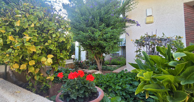 Clinic/ Office/ Private tutoring school/ Yoga studio for rent in Katholiki