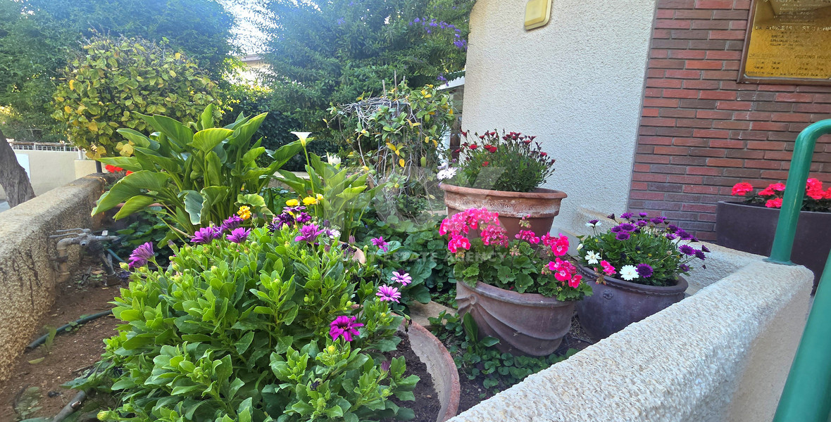 Clinic/ Office/ Private tutoring school/ Yoga studio for rent in Katholiki