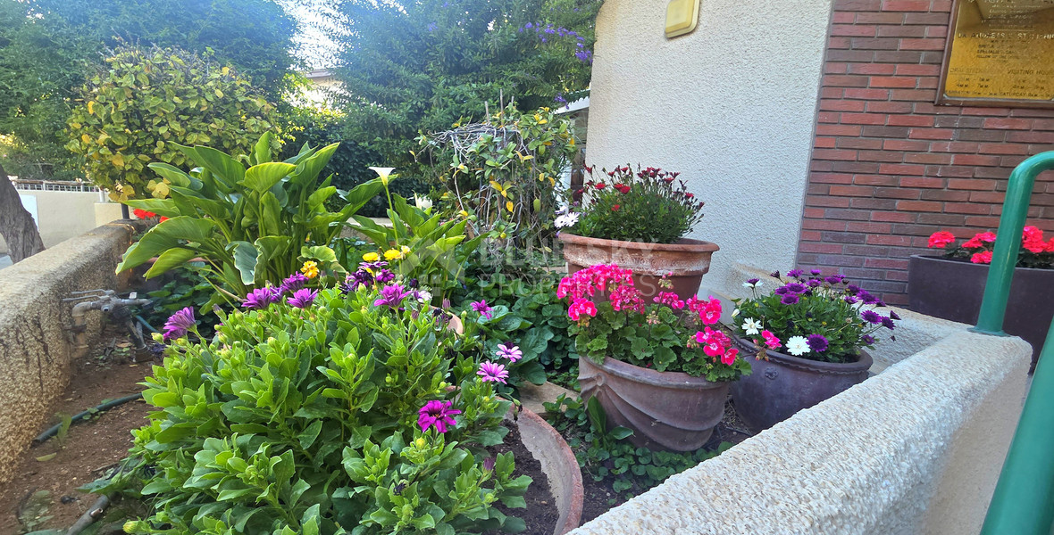 Clinic/ Office/ Private tutoring school/ Yoga studio for rent in Katholiki