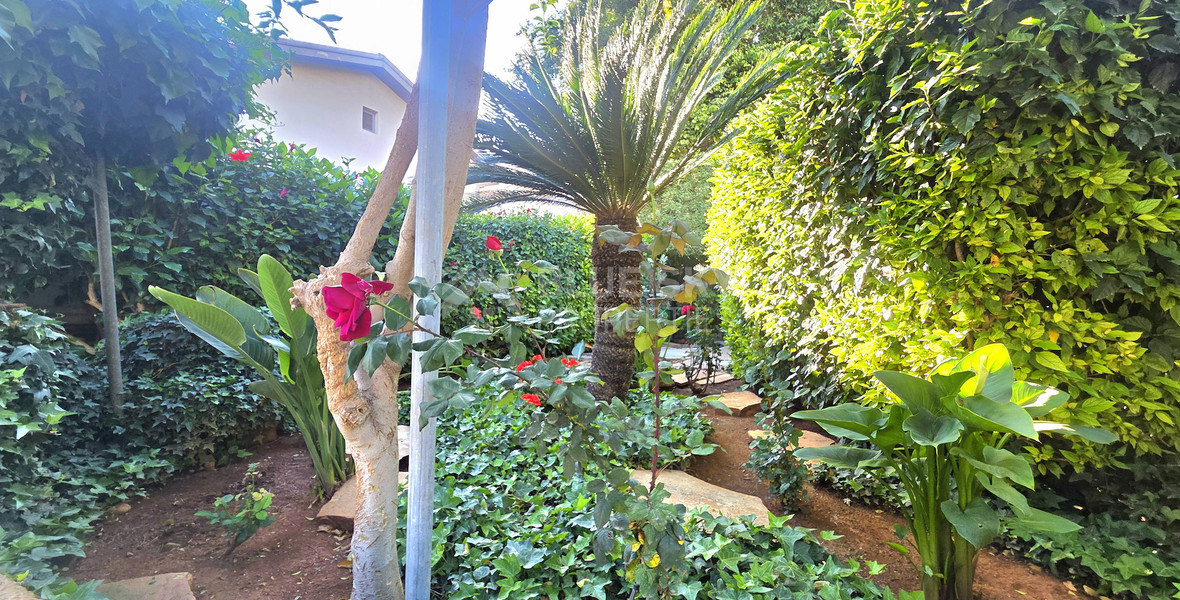 Clinic/ Office/ Private tutoring school/ Yoga studio for rent in Katholiki