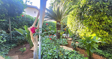 Clinic/ Office/ Private tutoring school/ Yoga studio for rent in Katholiki