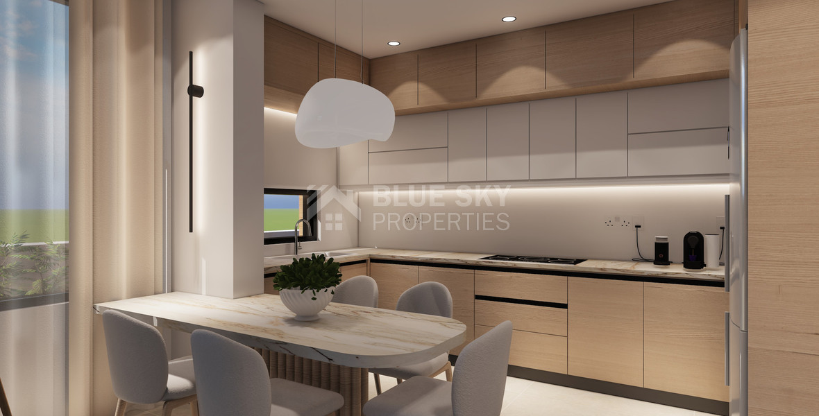 Spacious Three Bedroom Penthouse with Roof Garden For Sale in Katholiki