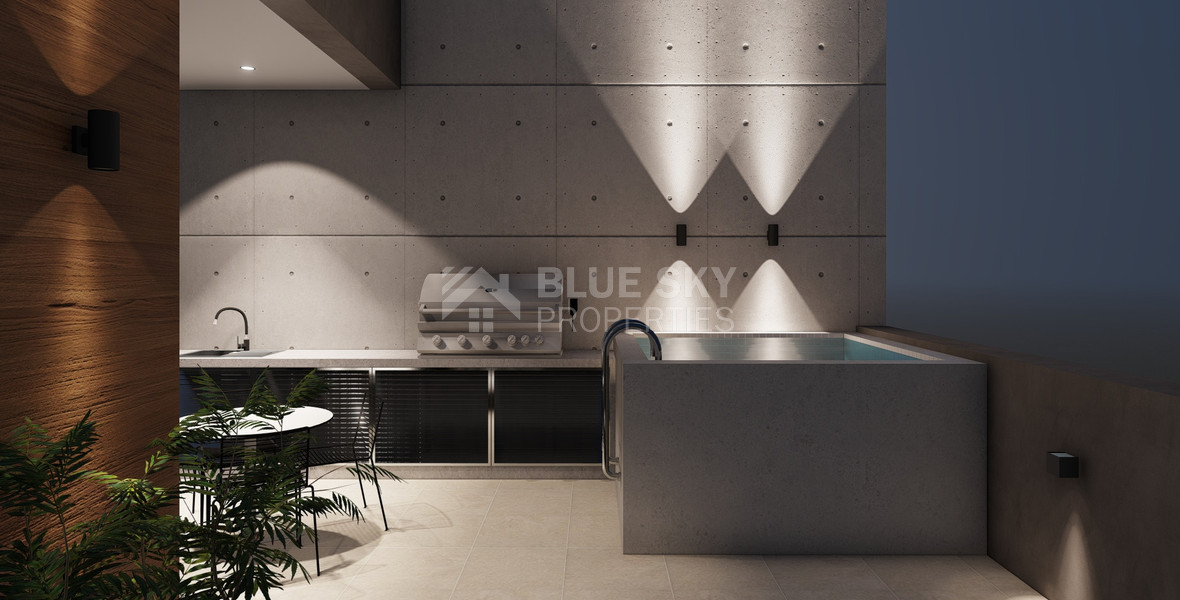 Spacious Three Bedroom Penthouse with Roof Garden For Sale in Katholiki