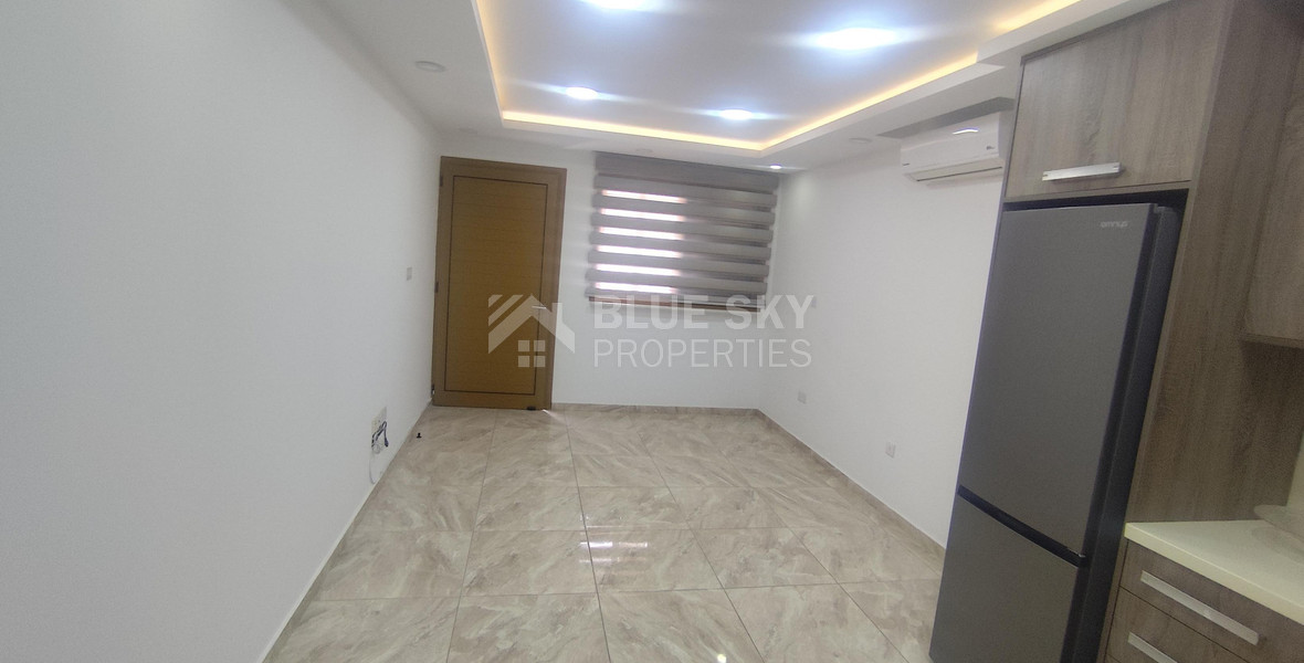 Brand New 2-Bedroom Penthouse in Apostolos Andreas – Available Now