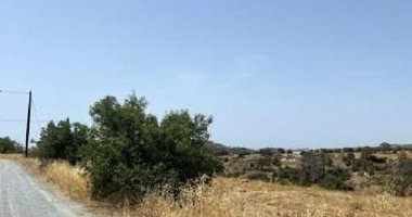 Agricultural Field for Sale in Pyrgos, Limassol