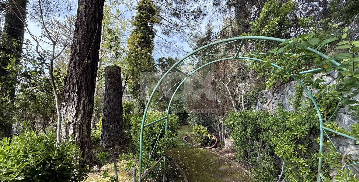 SALE: OUTSTANDING 7 BEDROOM  BESPOKE VILLA IN MONIATIS ON 3,861 SQM LAND ENGULFED IN PINE FOREST.-INDOOR HEATED SWIMMING POOL.