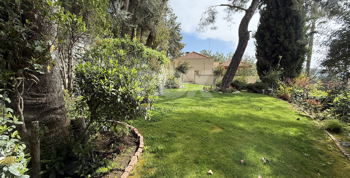 SALE: OUTSTANDING 7 BEDROOM  BESPOKE VILLA IN MONIATIS ON 3,861 SQM LAND ENGULFED IN PINE FOREST.-INDOOR HEATED SWIMMING POOL.