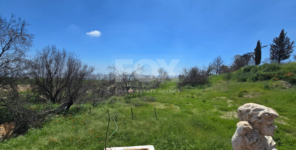 House for Rent in Lofou