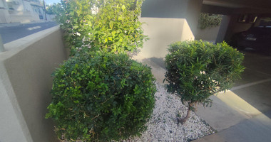 2-Bedroom Fully Furnished Apartment in Agios Ioannis – Available Now