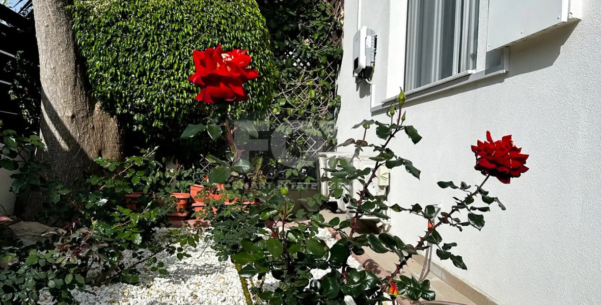 🌴 Elegant Four Bedroom Sea View Villa for Rent in Lower Peyia