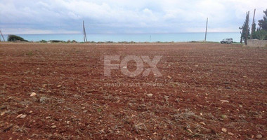 Land For Sale In Agios Theodoros Larnakas Larnaca Cyprus