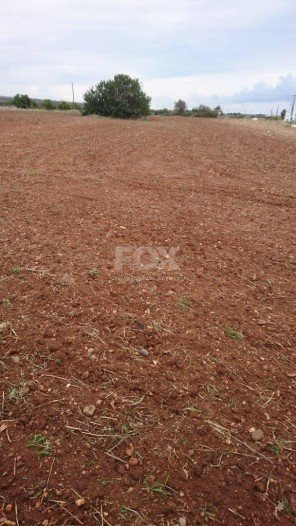 Land For Sale In Agios Theodoros Larnakas Larnaca Cyprus
