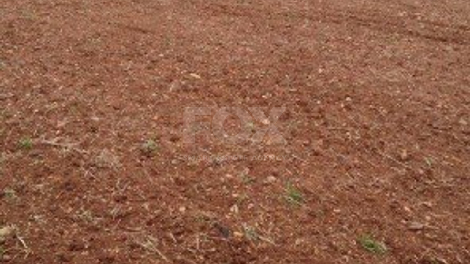 Land For Sale In Agios Theodoros Larnakas Larnaca Cyprus