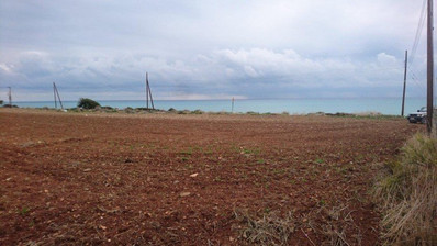 Land For Sale In Agios Theodoros Larnakas Larnaca Cyprus