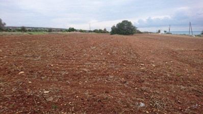 Land For Sale In Agios Theodoros Larnakas Larnaca Cyprus