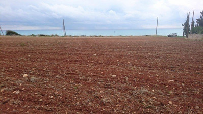 Land For Sale In Agios Theodoros Larnakas Larnaca Cyprus