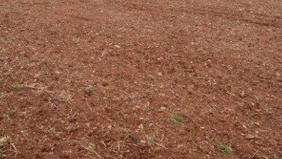 Land For Sale In Agios Theodoros Larnakas Larnaca Cyprus