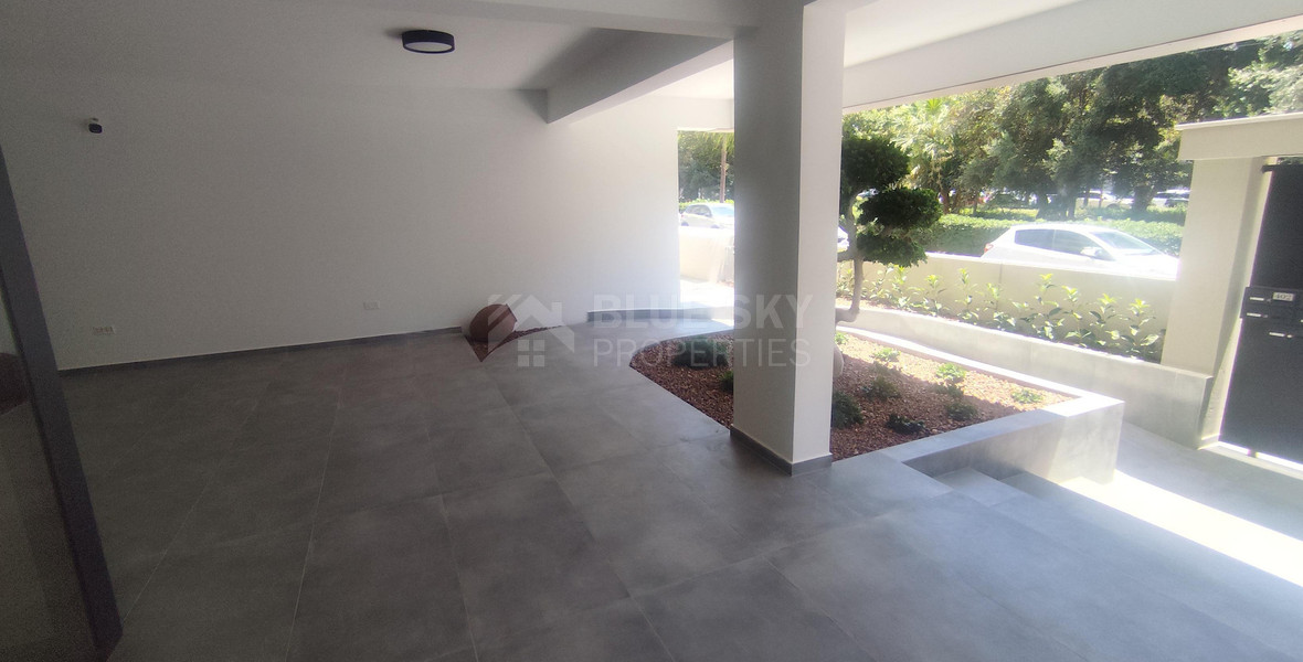 Brand New 3-Bedroom Penthouse with Panoramic Views in Apostoloi Petrou & Pavlou