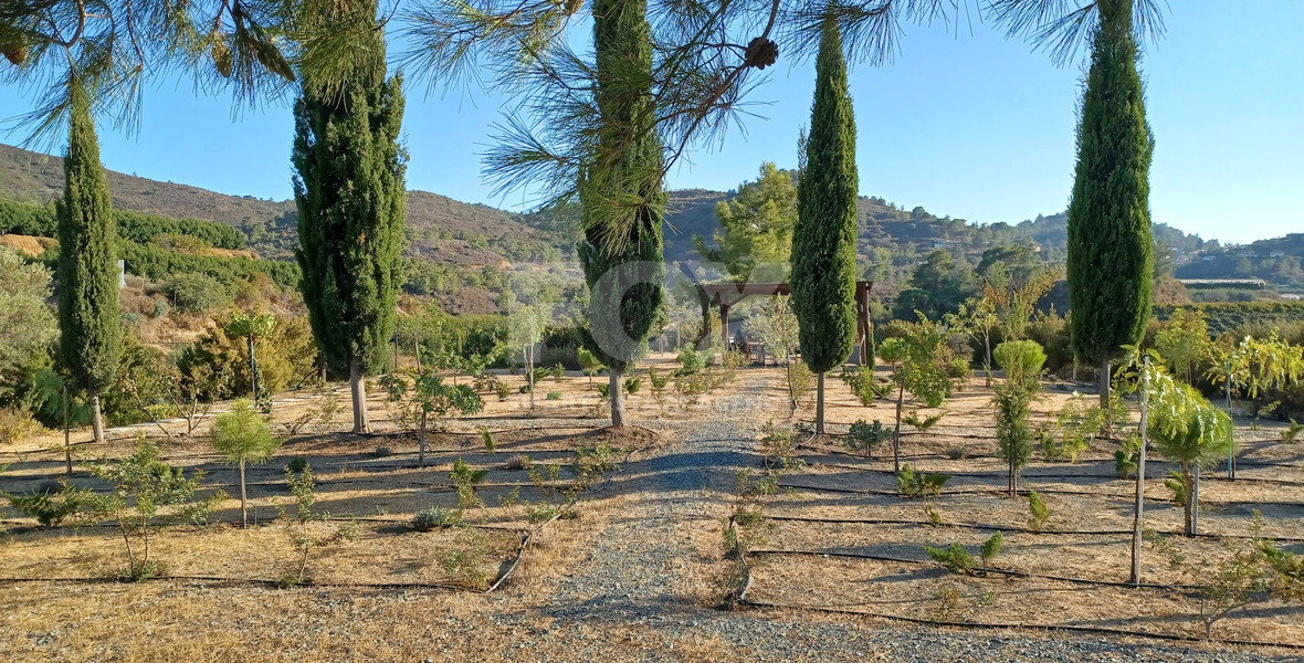 Land For Sale In Kellaki