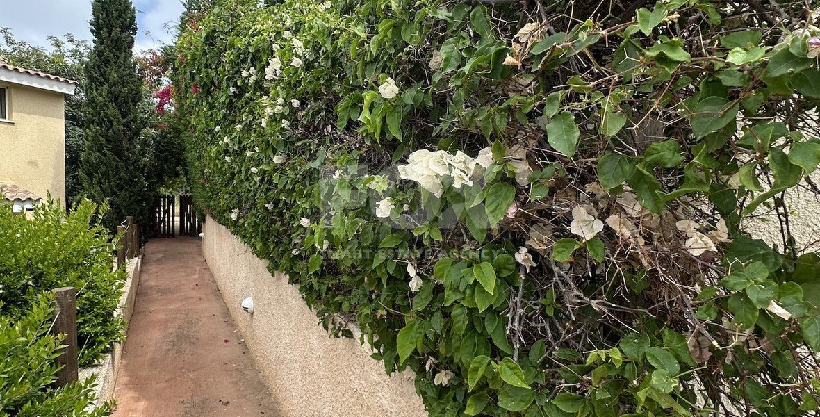 Three bedroom Detached Bungalow in Chloraka , Paphos