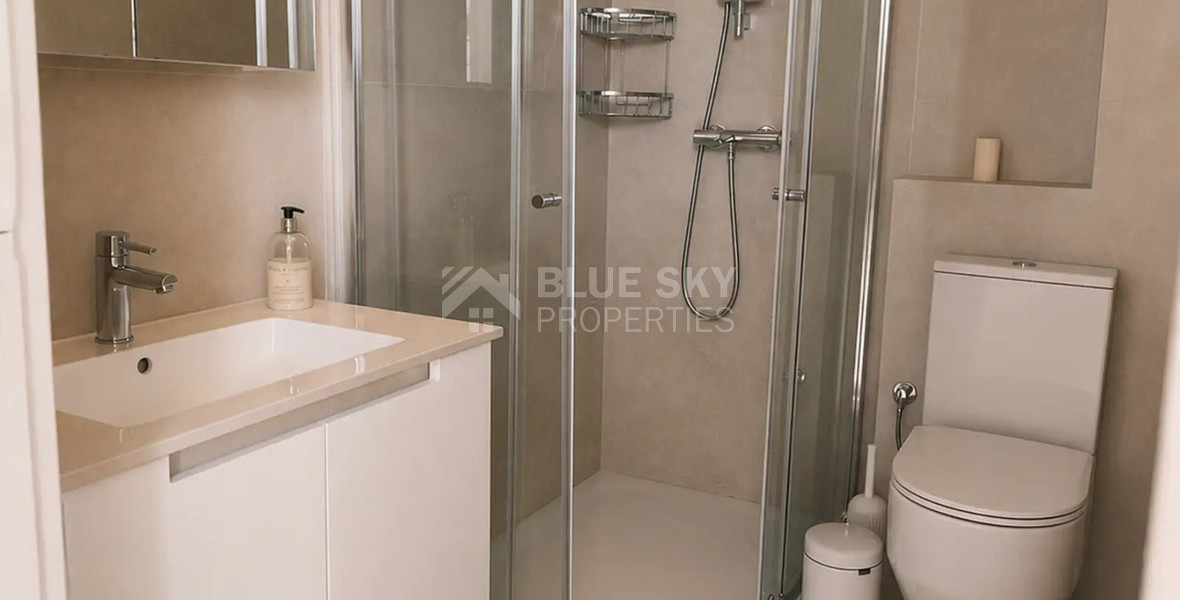 Fully Furnished 2-Bedroom Apartment with Office in Katholiki