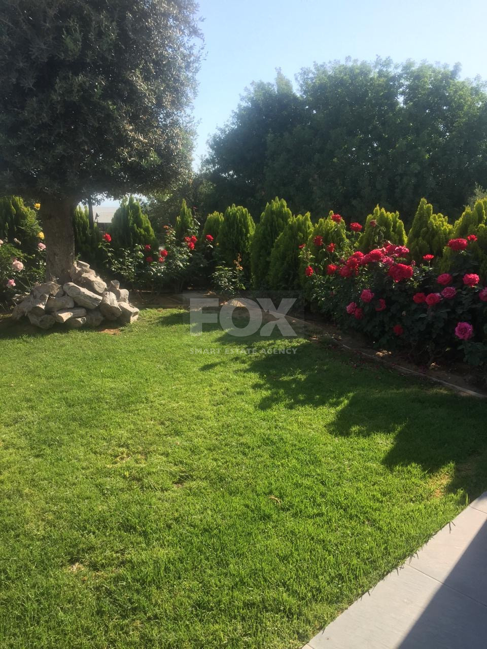 Luxury five bedroom Modern Villa with private Pool & Mountain / Sea Views - Mesogi , Paphos for rent