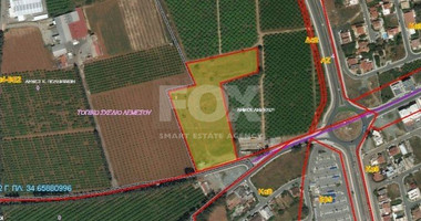 Land For Sale In Zakaki Limassol Cyprus