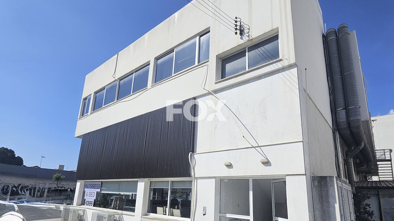 Building 600 m² for sale in Katholiki, Limassol, Cyprus