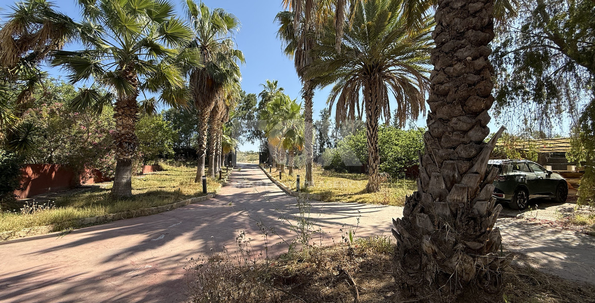 RENT: Versatile Residential or Commercial Property with Extensive Grounds in Kato Polemidia with easy access to all arteries of Limassol.