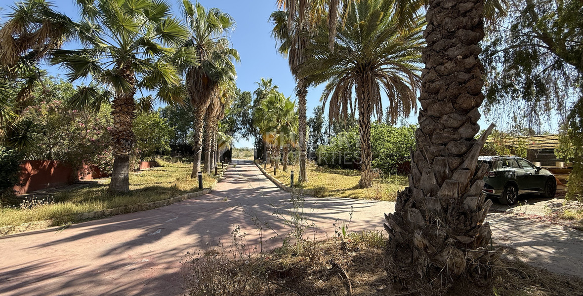RENT: Versatile Residential or Commercial Property with Extensive Grounds in Kato Polemidia with easy access to all arteries of Limassol.