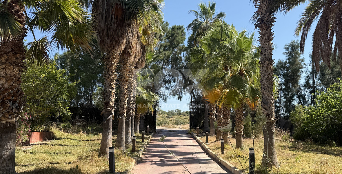 RENT: Versatile Residential or Commercial Property with Extensive Grounds in Kato Polemidia with easy access to all arteries of Limassol.