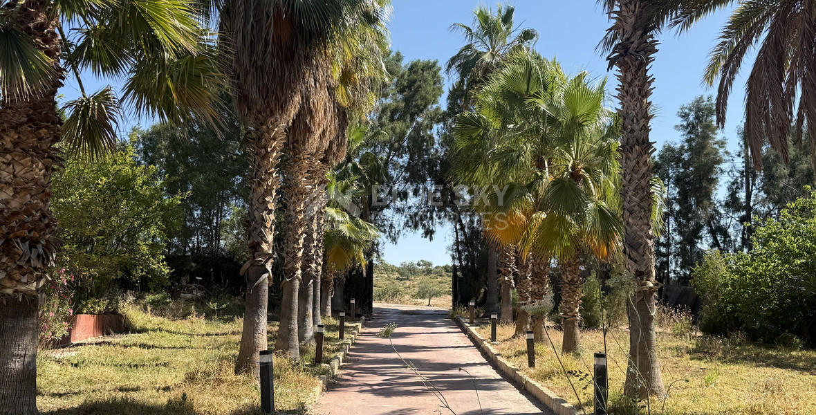 RENT: Versatile Residential or Commercial Property with Extensive Grounds in Kato Polemidia with easy access to all arteries of Limassol.