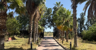 RENT: Versatile Residential or Commercial Property with Extensive Grounds in Kato Polemidia with easy access to all arteries of Limassol.