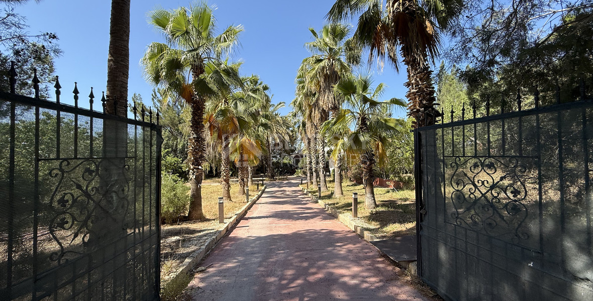 RENT: Versatile Residential or Commercial Property with Extensive Grounds in Kato Polemidia with easy access to all arteries of Limassol.