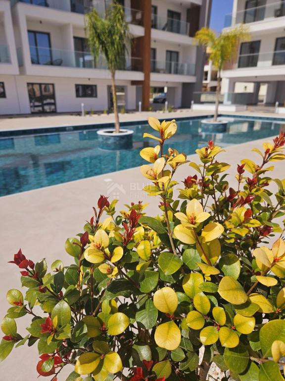Fully Furnished one Apartment for Sale in Universal Area