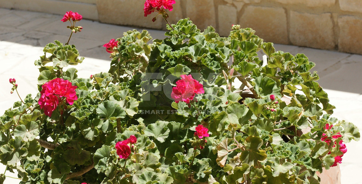 For sale Luxury 5+1 Bedroom Detached Villa with Panoramic Sea Views in Aphrodite Hills