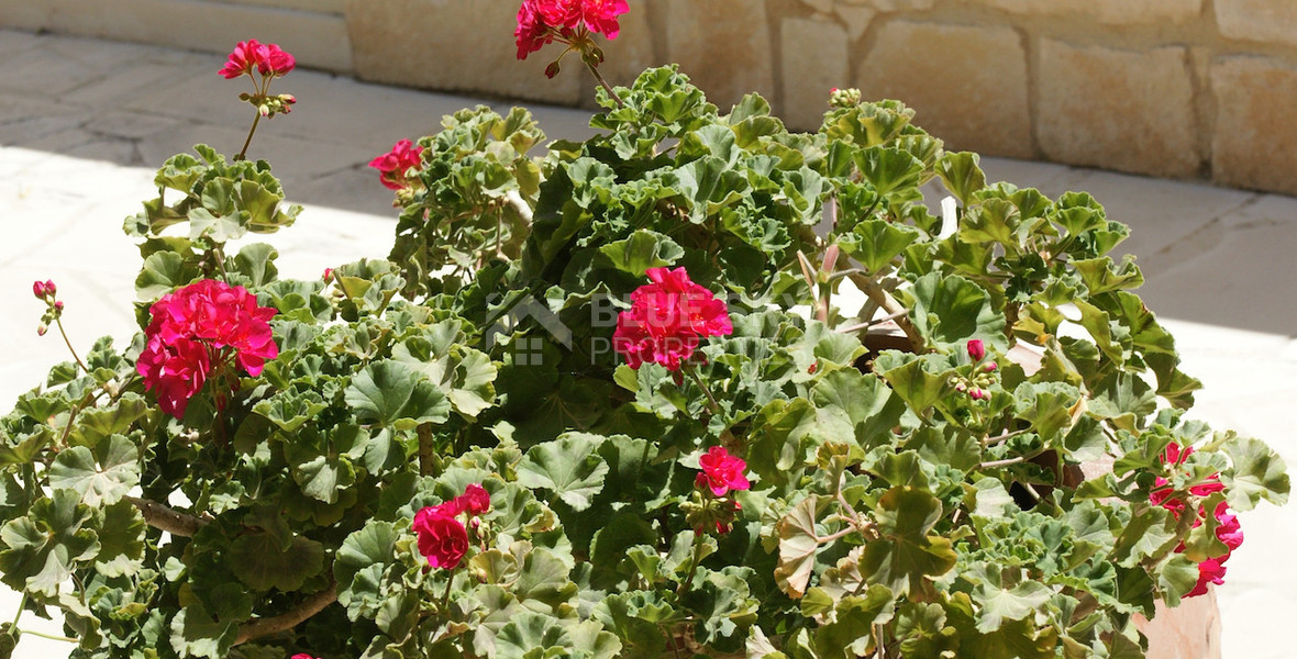 For sale Luxury 5+1 Bedroom Detached Villa with Panoramic Sea Views in Aphrodite Hills