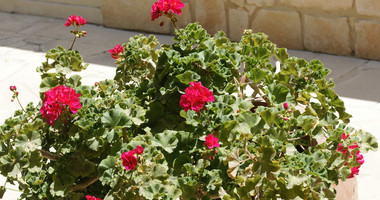For sale Luxury 5+1 Bedroom Detached Villa with Panoramic Sea Views in Aphrodite Hills