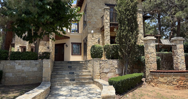 SALE: Luxury 6 bedroom Villa in Souni on expansive plot of 2.150 sqm.