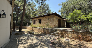 SALE: Luxury 6 bedroom Villa in Souni on expansive plot of 2.150 sqm.