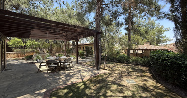 SALE: Luxury 6 bedroom Villa in Souni on expansive plot of 2.150 sqm.