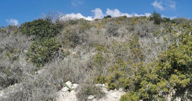Agricultural Land for Sale in Pyrgos – G3 Zone