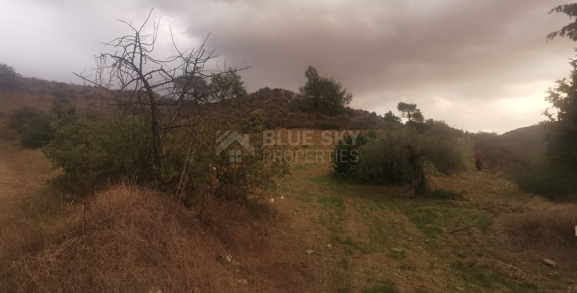 Agricultural Land for Sale in Pyrgos – G3 Zone