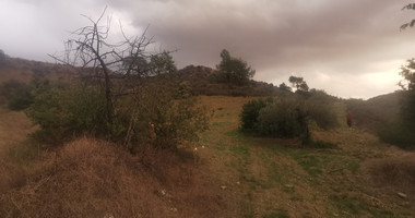 Agricultural Land for Sale in Pyrgos – G3 Zone
