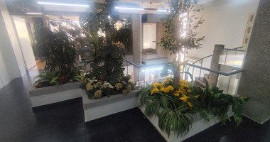 Office for Rent in Omonia, Limassol – 150m²