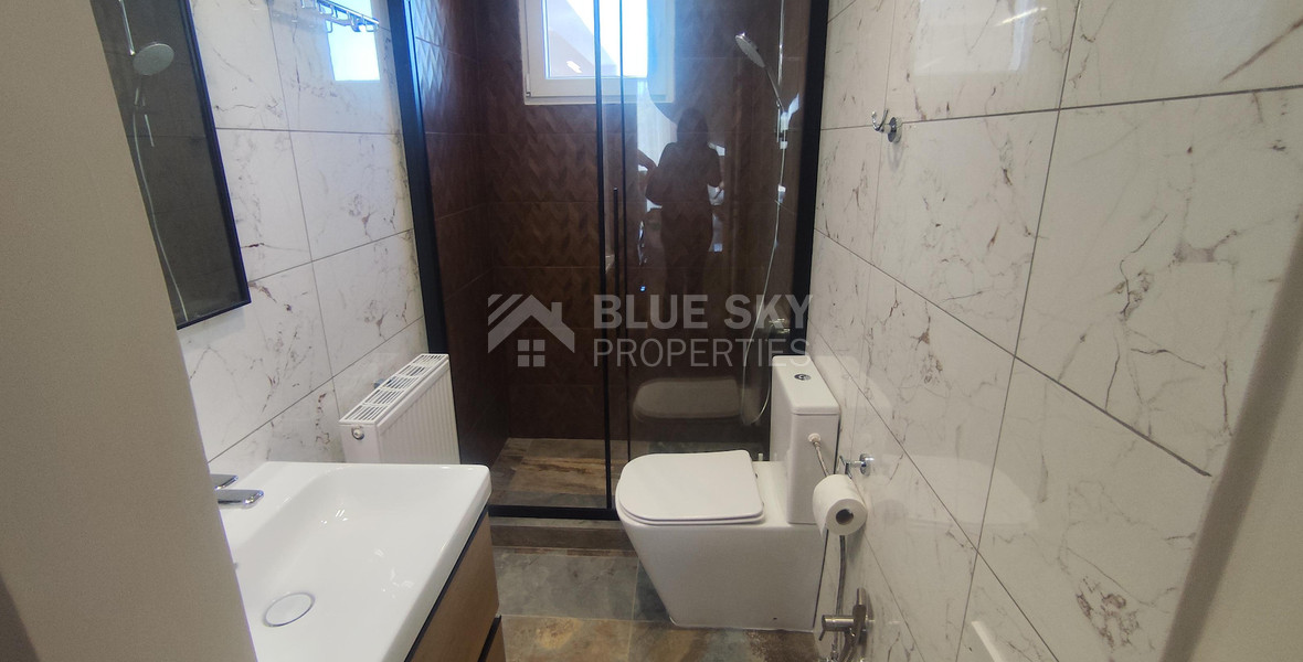Luxury three Bedroom Villa with Swimming Pool on 3,000 sq.m. Plot in Pareklisia